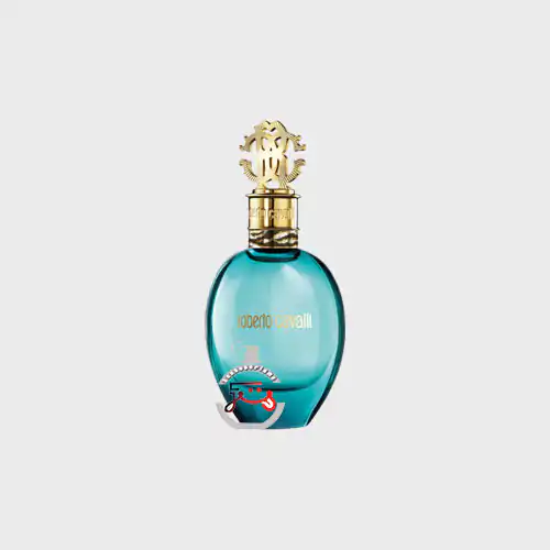 عطر ادکلن روبرتو کاوالی آکوا
